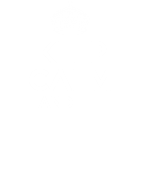 https://s3.us-west-1.wasabisys.com/ecart-content/bjjtshirt.com/overlays/377/083/37708389.png img