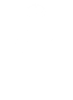 https://s3.us-west-1.wasabisys.com/ecart-content/bjjtshirt.com/overlays/377/083/37708399.png img