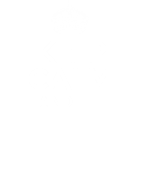 https://s3.us-west-1.wasabisys.com/ecart-content/bjjtshirt.com/overlays/377/084/37708408.png img