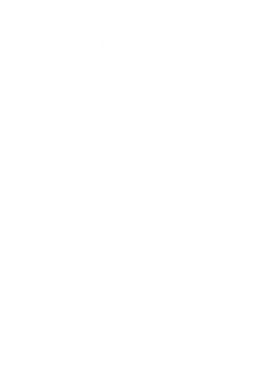 https://s3.us-west-1.wasabisys.com/ecart-content/bjjtshirt.com/overlays/377/084/37708414.png img