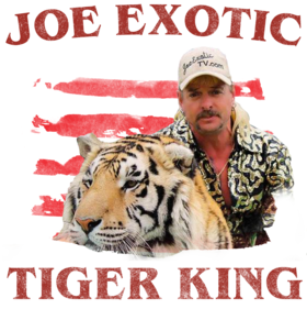 https://s3.us-west-1.wasabisys.com/ecart-content/bjjtshirt.com/overlays/377/106/37710680.png img