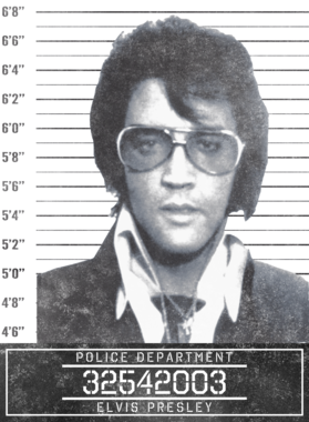 https://s3.us-west-1.wasabisys.com/ecart-content/bjjtshirt.com/overlays/377/113/37711338.png img