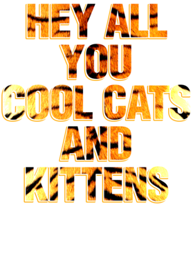https://s3.us-west-1.wasabisys.com/ecart-content/bjjtshirt.com/overlays/377/120/37712048.png img