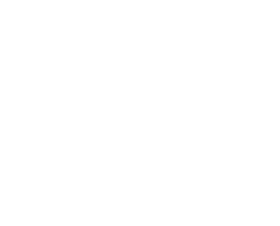 https://s3.us-west-1.wasabisys.com/ecart-content/bjjtshirt.com/overlays/377/656/37765623.png img