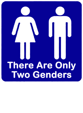 https://s3.us-west-1.wasabisys.com/ecart-content/bjjtshirt.com/overlays/396/025/39602537.png img