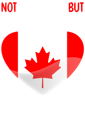 https://s3.us-west-1.wasabisys.com/ecart-content/bjjtshirt.com/overlays/396/618/39661872.png img