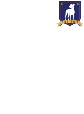 https://s3.us-west-1.wasabisys.com/ecart-content/bjjtshirt.com/overlays/396/728/39672864.png img