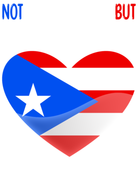 https://s3.us-west-1.wasabisys.com/ecart-content/bjjtshirt.com/overlays/396/765/39676515.png img