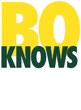 https://s3.us-west-1.wasabisys.com/ecart-content/bjjtshirt.com/overlays/397/102/39710276.png img