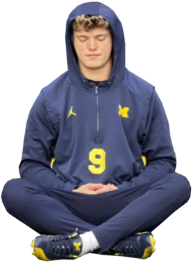 https://s3.us-west-1.wasabisys.com/ecart-content/bjjtshirt.com/overlays/397/538/39753855.png img