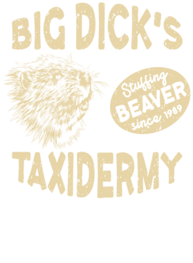 https://s3.us-west-1.wasabisys.com/ecart-content/bjjtshirt.com/overlays/397/634/39763451.png img