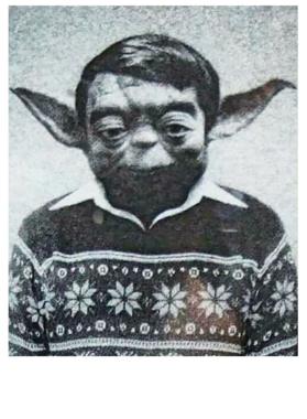 https://s3.us-west-1.wasabisys.com/ecart-content/bjjtshirt.com/overlays/397/652/39765279.png img