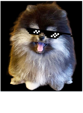 overlay