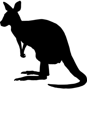 https://s3.us-west-1.wasabisys.com/ecart-content/bjjtshirt.com/overlays/399/652/39965212.png img