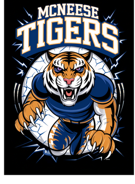 https://s3.us-west-1.wasabisys.com/ecart-content/bjjtshirt.com/overlays/401/275/40127598.png img