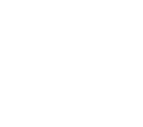 https://s3.us-west-1.wasabisys.com/ecart-content/bjjtshirt.com/overlays/401/631/40163181.png img