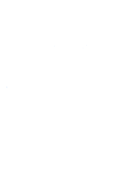https://s3.us-west-1.wasabisys.com/ecart-content/bjjtshirt.com/overlays/401/633/40163377.png img