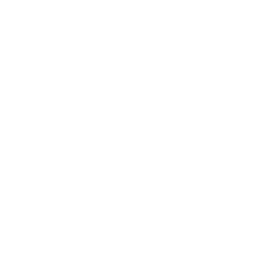https://s3.us-west-1.wasabisys.com/ecart-content/bjjtshirt.com/overlays/401/644/40164409.png img