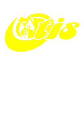 https://s3.us-west-1.wasabisys.com/ecart-content/bjjtshirt.com/overlays/401/644/40164411.png img