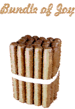 https://s3.us-west-1.wasabisys.com/ecart-content/bjjtshirt.com/overlays/401/650/40165059.png img