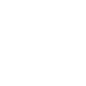 https://s3.us-west-1.wasabisys.com/ecart-content/bjjtshirt.com/overlays/401/650/40165061.png img