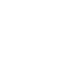 https://s3.us-west-1.wasabisys.com/ecart-content/bjjtshirt.com/overlays/401/653/40165384.png img