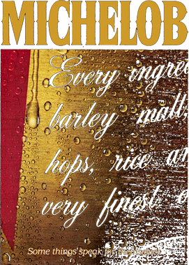 https://s3.us-west-1.wasabisys.com/ecart-content/bjjtshirt.com/overlays/401/655/40165590.png img