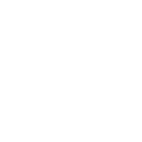 https://s3.us-west-1.wasabisys.com/ecart-content/bjjtshirt.com/overlays/401/658/40165859.png img