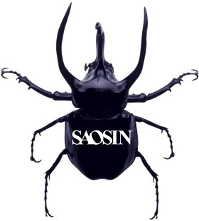 https://s3.us-west-1.wasabisys.com/ecart-content/bjjtshirt.com/overlays/401/659/40165924.png img