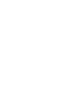 https://s3.us-west-1.wasabisys.com/ecart-content/bjjtshirt.com/overlays/401/659/40165932.png img