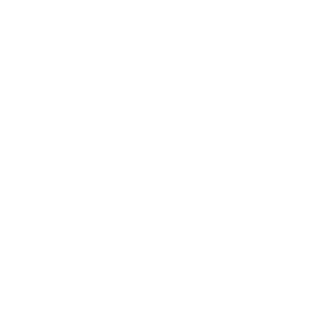 https://s3.us-west-1.wasabisys.com/ecart-content/bjjtshirt.com/overlays/401/659/40165993.png img