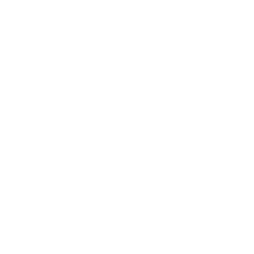 https://s3.us-west-1.wasabisys.com/ecart-content/bjjtshirt.com/overlays/401/663/40166370.png img
