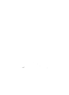 https://s3.us-west-1.wasabisys.com/ecart-content/bjjtshirt.com/overlays/401/667/40166725.png img