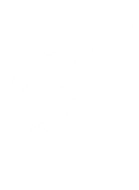 https://s3.us-west-1.wasabisys.com/ecart-content/bjjtshirt.com/overlays/401/667/40166728.png img