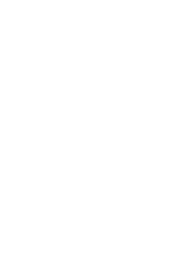 https://s3.us-west-1.wasabisys.com/ecart-content/bjjtshirt.com/overlays/401/667/40166754.png img