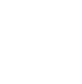 https://s3.us-west-1.wasabisys.com/ecart-content/bjjtshirt.com/overlays/401/667/40166767.png img