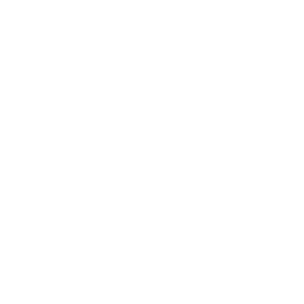 https://s3.us-west-1.wasabisys.com/ecart-content/bjjtshirt.com/overlays/401/667/40166768.png img