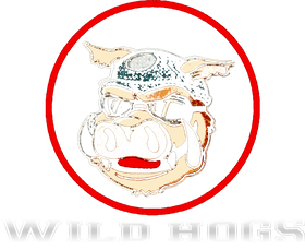 https://s3.us-west-1.wasabisys.com/ecart-content/bjjtshirt.com/overlays/401/800/40180009.png img