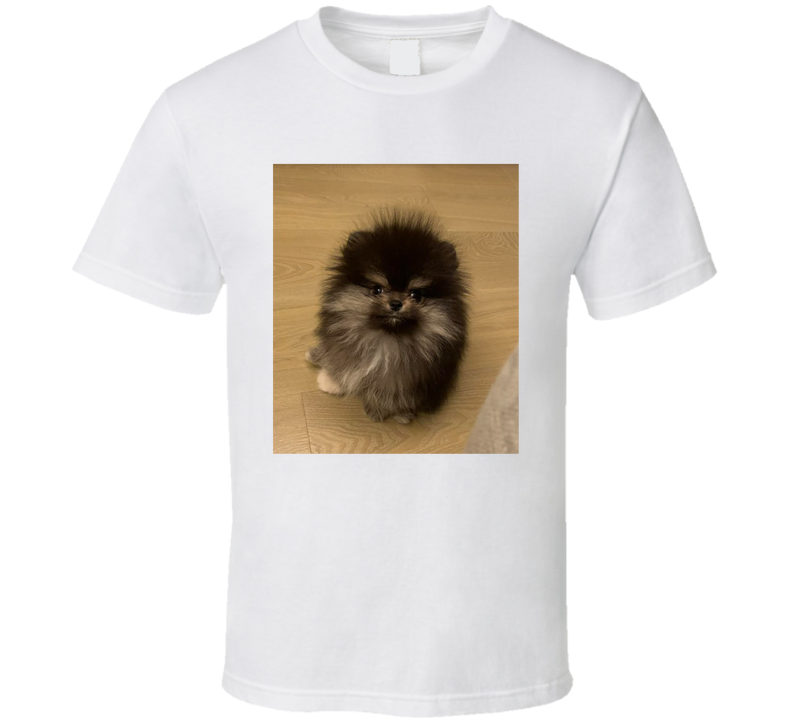 front preview