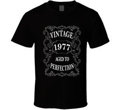 Vintage 1977 T Shirt