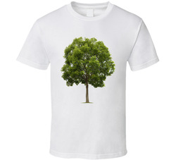 The Oak Tree (that The Acorn Falls From) T Shirt
