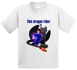 How To Train Your Dragon Toothless & Hiccup Birthday T Shirt How To Train Your Dragon Toothless & Hiccup Birthday T Shirt