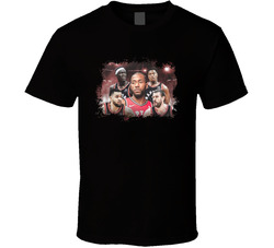 Raptors In The North T Shirt Raptors In The North T Shirt
