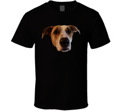 I'm Your Biggest Fan - For Human T Shirt