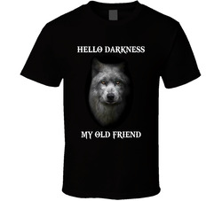 Hello Darkness My Old Friend T Shirt Hello Darkness My Old Friend T Shirt