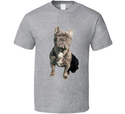 Dad & Dog - Best Friends T Shirt Dad & Dog - Best Friends T Shirt