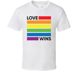 Love Wins T Shirt Love Wins T Shirt