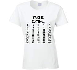 Baby Is Coming - Weekly Milestone Ladies T Shirt
