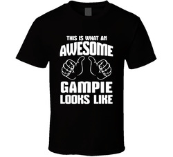 This Is What An Awesome Gampie Looks Like T Shirt This Is What An Awesome Gampie Looks Like T Shirt