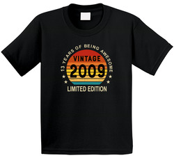 13 Years Of Being Awesome Vintage 2009 T Shirt